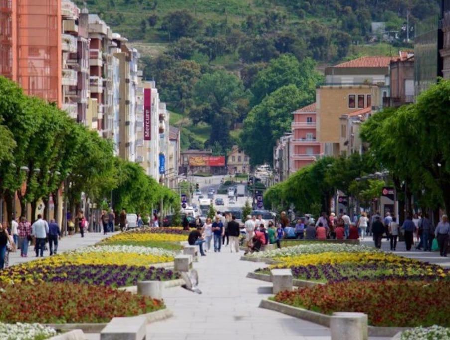 Flat Moderno E Em Apartamento Braga